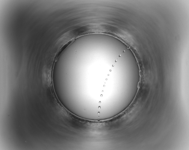 X0000089400889200706221115