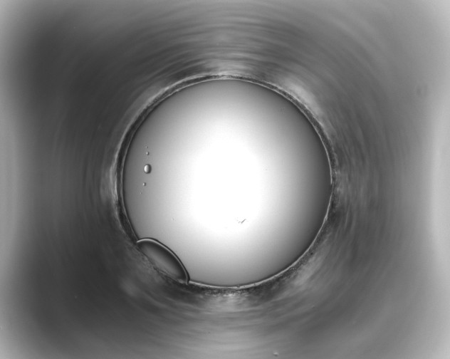 X0000089400891200706221115