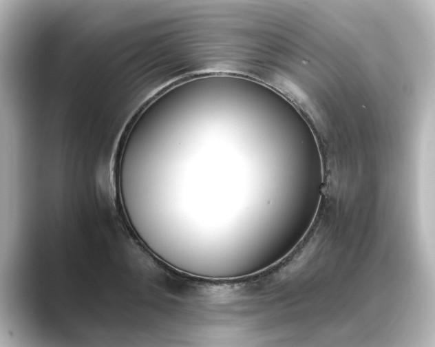 X0000089400892200706221115