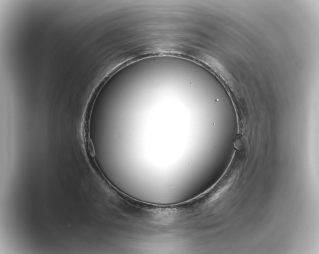 X0000089400893200706221115