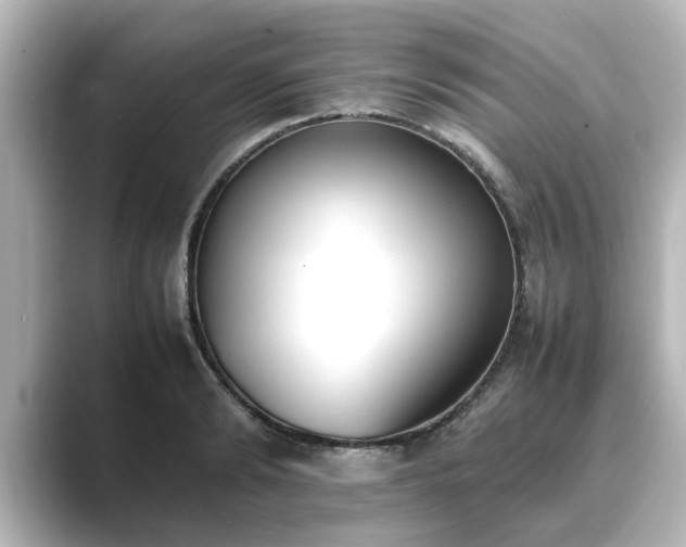 X0000089400894200706221115