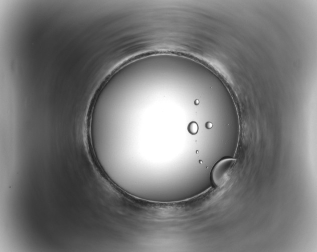 X0000089400895200706221115