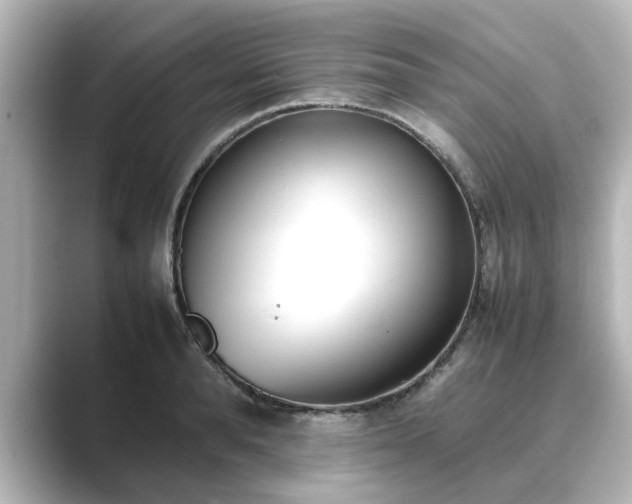 X0000089400896200706221115