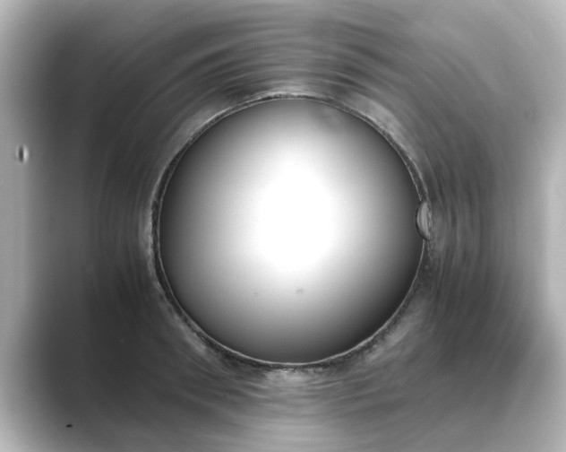 X0000089400898200706221115