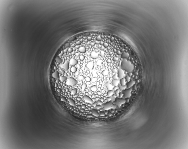 X0000089400899200706221115