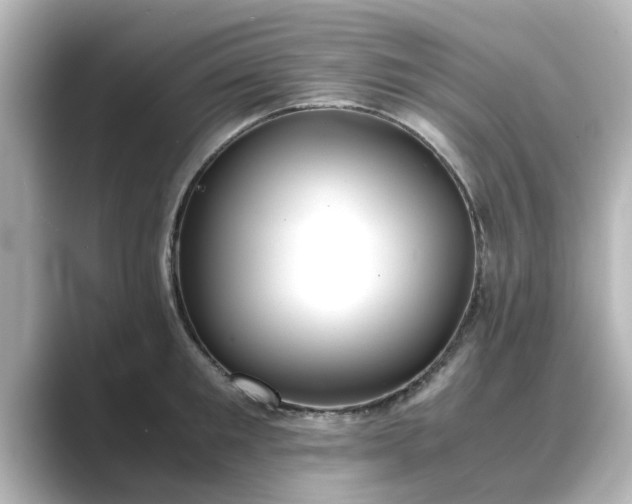 X0000089400901200706221115