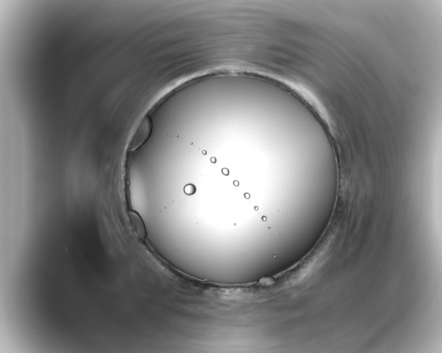 X0000089400903200706221115