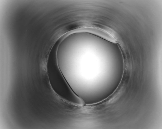 X0000089400905200706221115