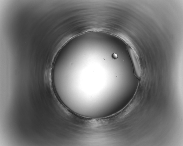 X0000089400906200706221115