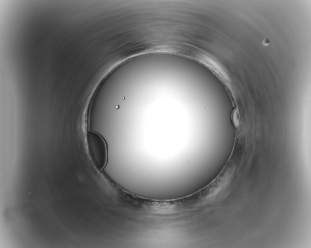 X0000089400907200706221115