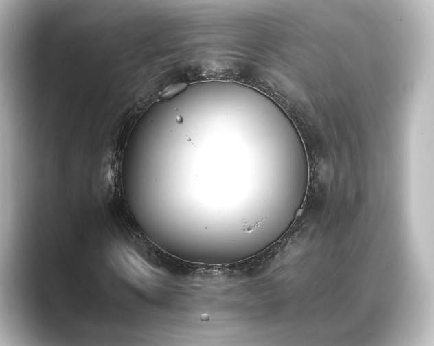 X0000089400914200706221114