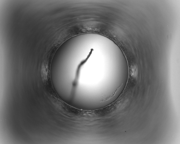 X0000089400915200706221114