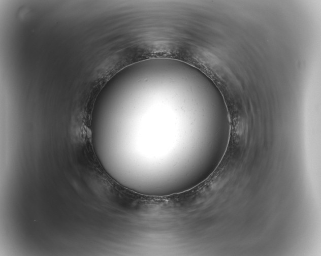 X0000089400916200706221114