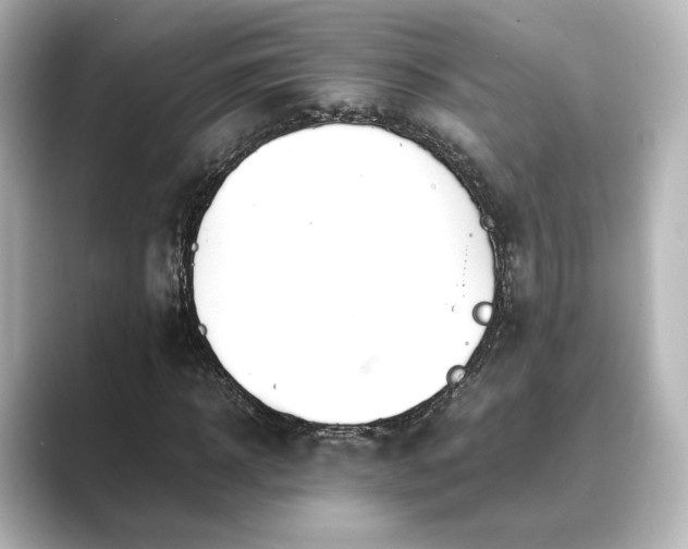 X0000089400918200706221115