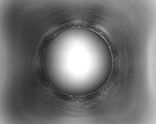 X0000089400919200706221115