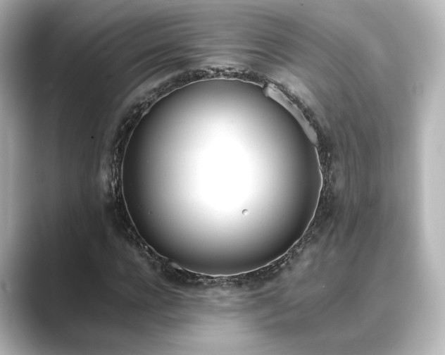 X0000089400920200706221115