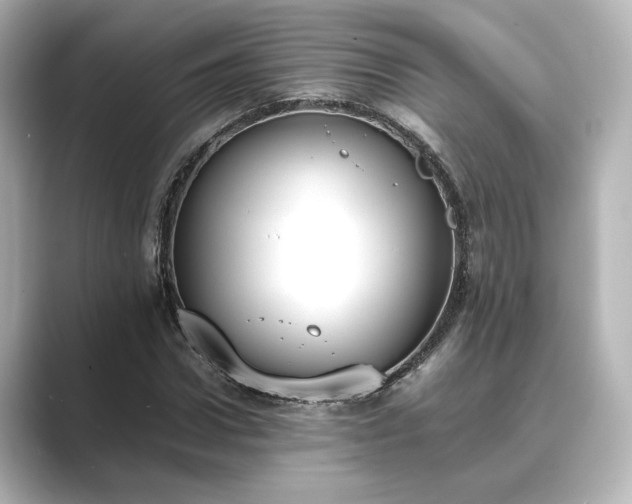 X0000089400922200706221115