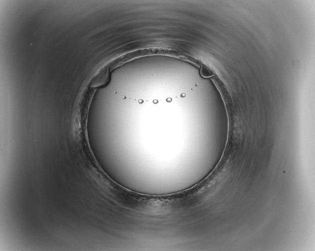 X0000089400923200706221115