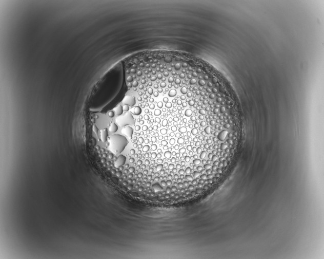 X0000089400925200706221115