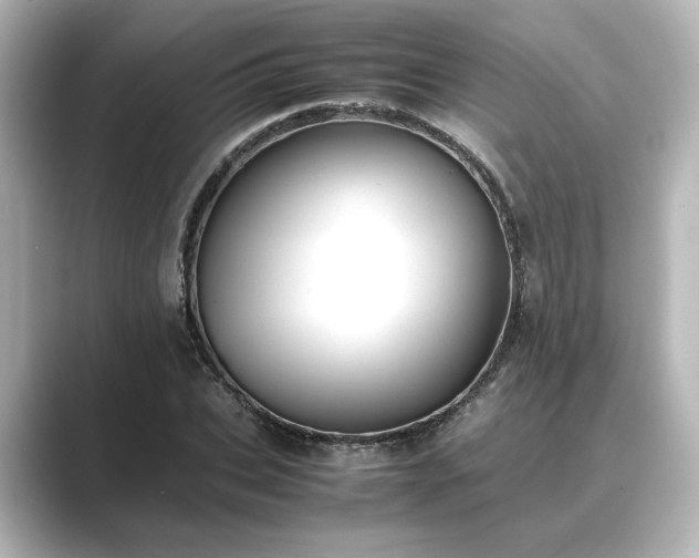 X0000089400927200706221115