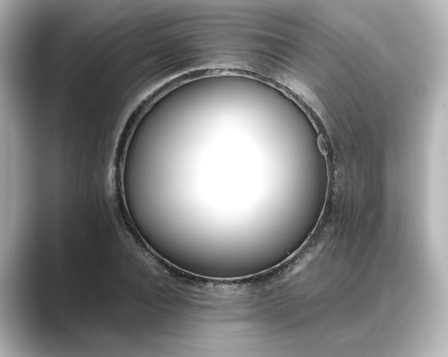 X0000089400928200706221115