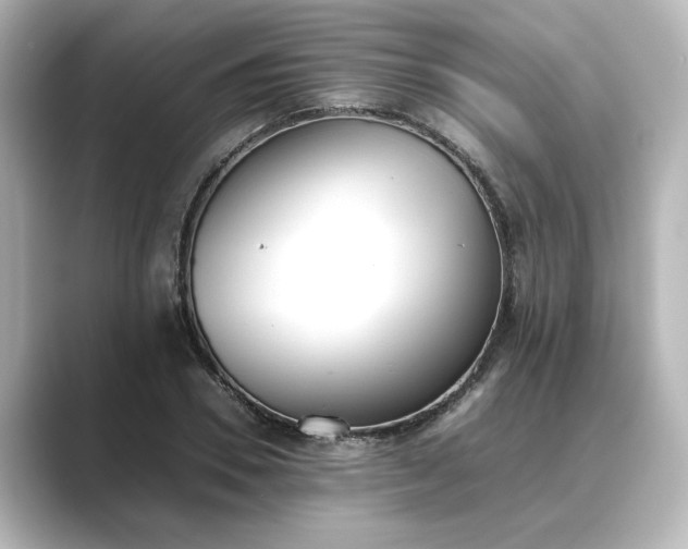 X0000089400930200706221115