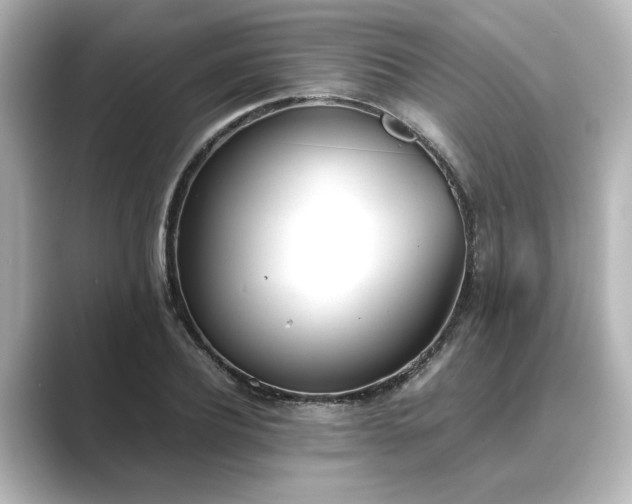 X0000089400932200706221115