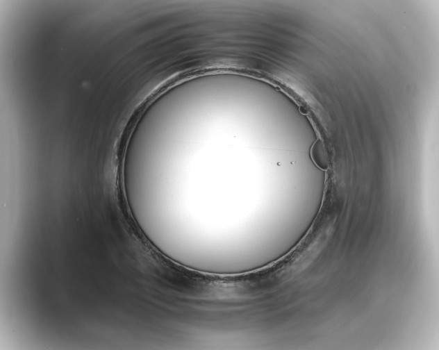 X0000089400933200706221115