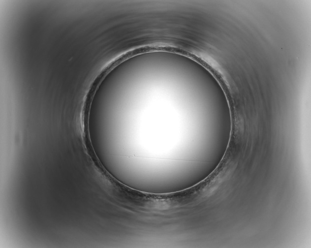 X0000089400935200706221115