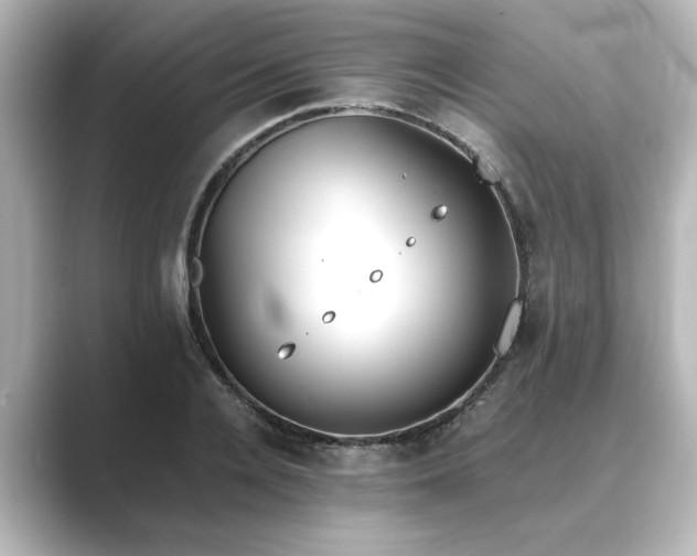 X0000089400936200706221115