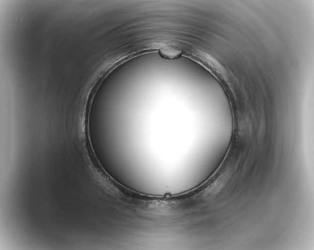 X0000089400938200706221115