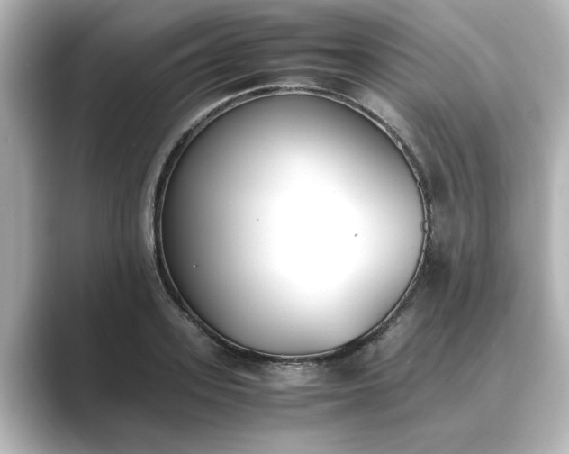 X0000089400939200706221115