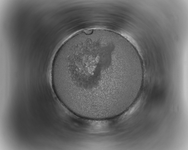X0000089400941200706221115