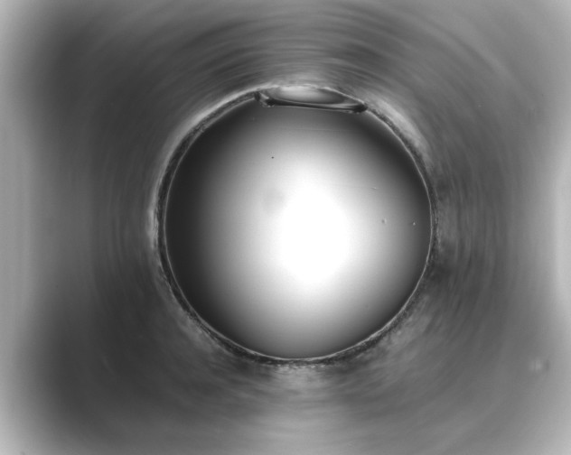 X0000089400944200706221115