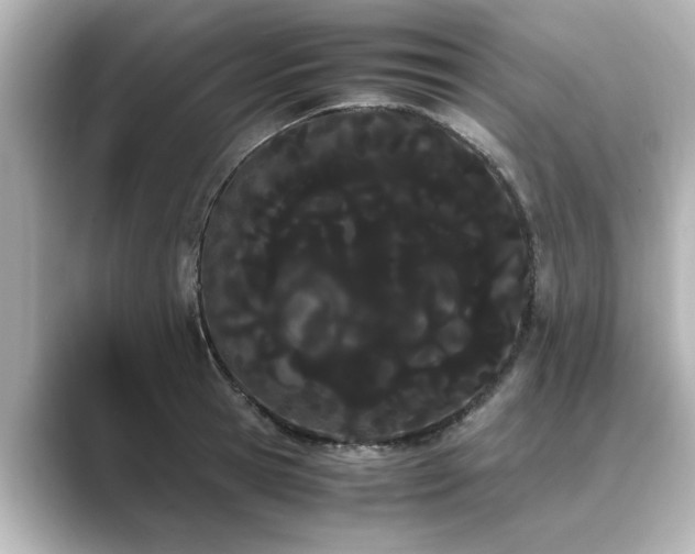 X0000089400945200706221115