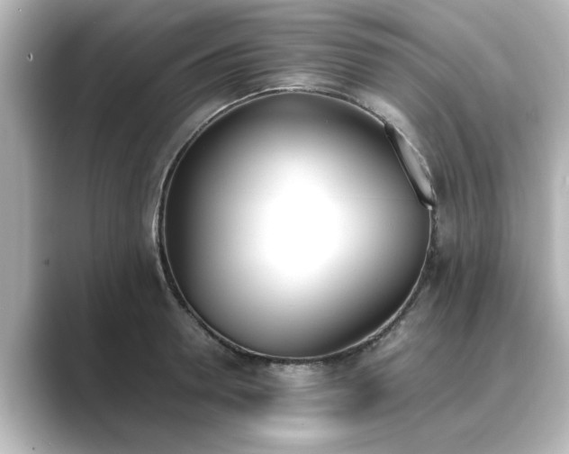 X0000089400946200706221115