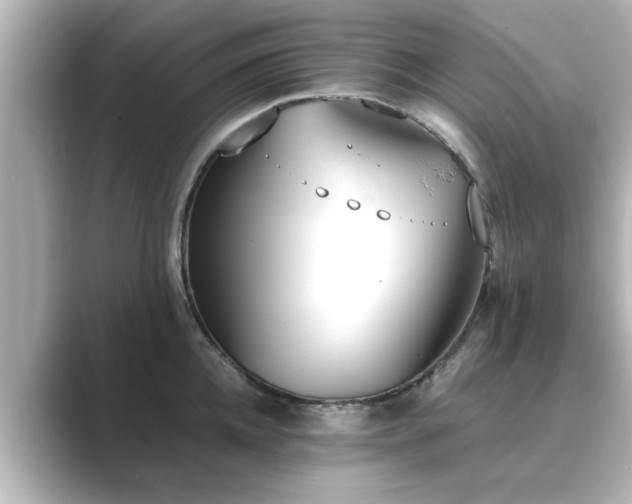 X0000089400952200706221115