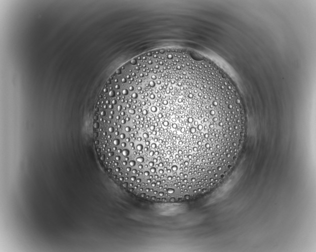 X0000089400953200706221115