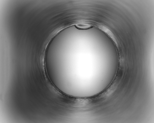 X0000089400954200706221115