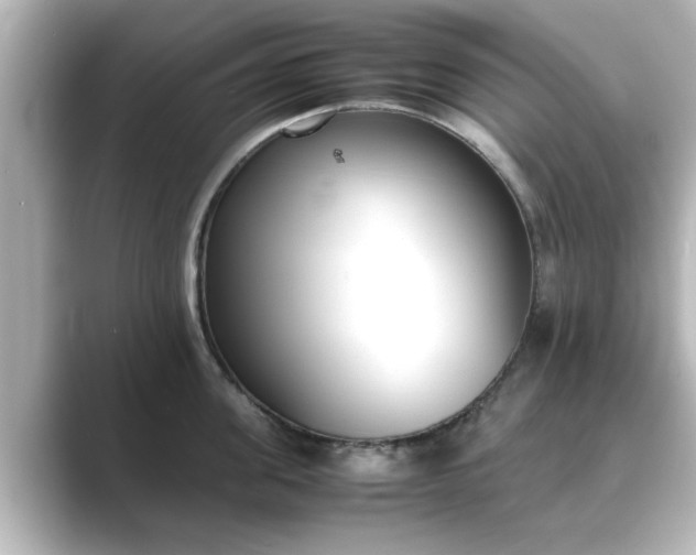 X0000089400955200706221115