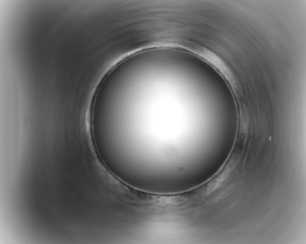 X0000089400958200706221115