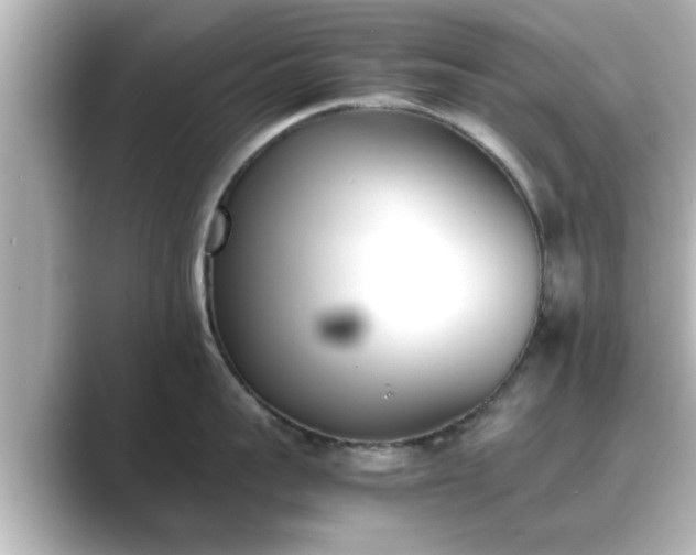 X0000089400959200706221115