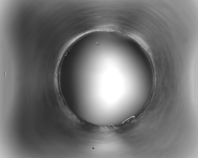 X0000089400960200706221115