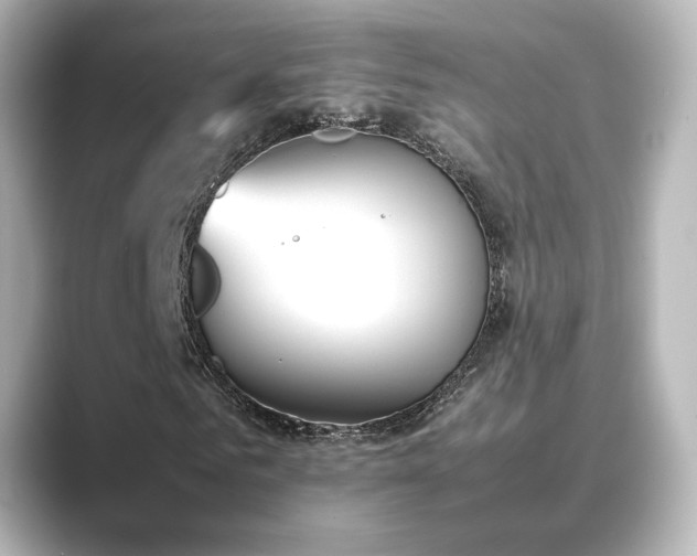 X0000089400961200706221114