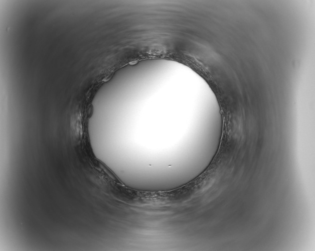 X0000089400962200706221114