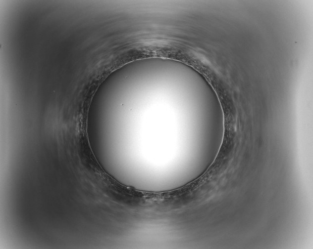 X0000089400965200706221114