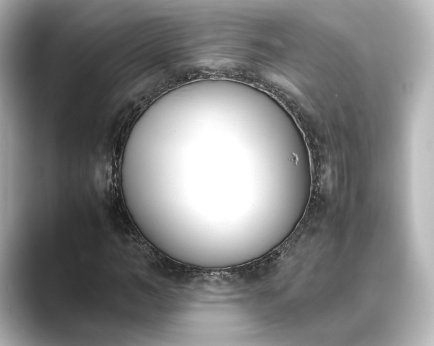 X0000089400966200706221114