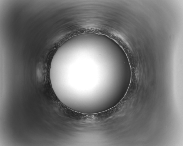 X0000089400968200706221114