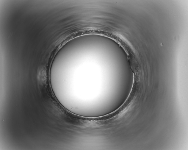 X0000089400969200706221114