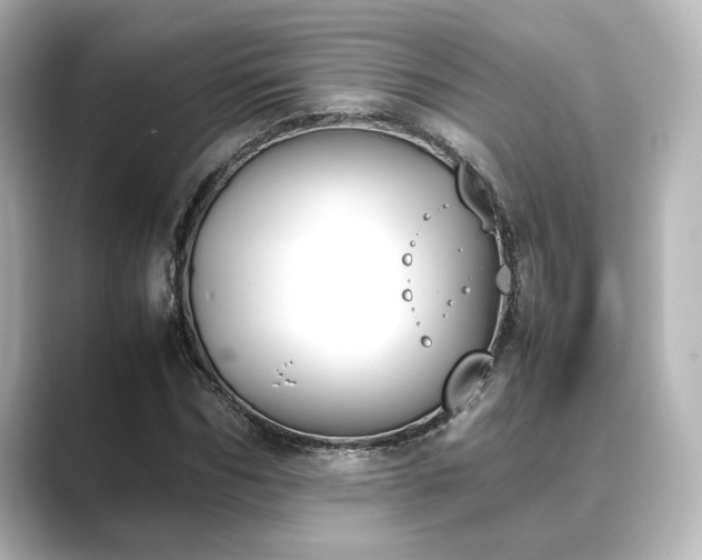 X0000089400970200706221114